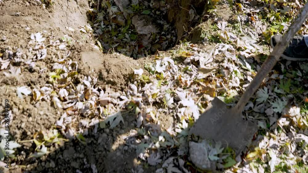 Shadow of person digging hole in his backyard on sunny autumn day. Dolly forward Shadow of person digging hole in his backyard on sunny autumn day. Dolly forward