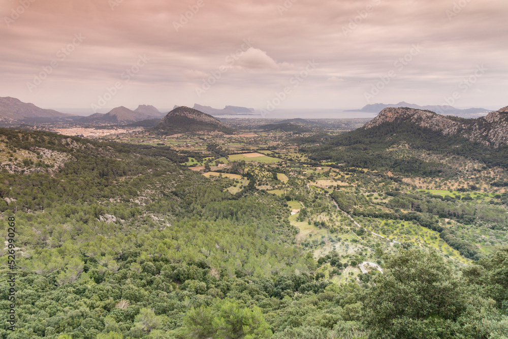 Obraz premium Valle de Colonya, pollença, Sierra de Tramuntana, Mallorca,Islas Baleares, Spain.