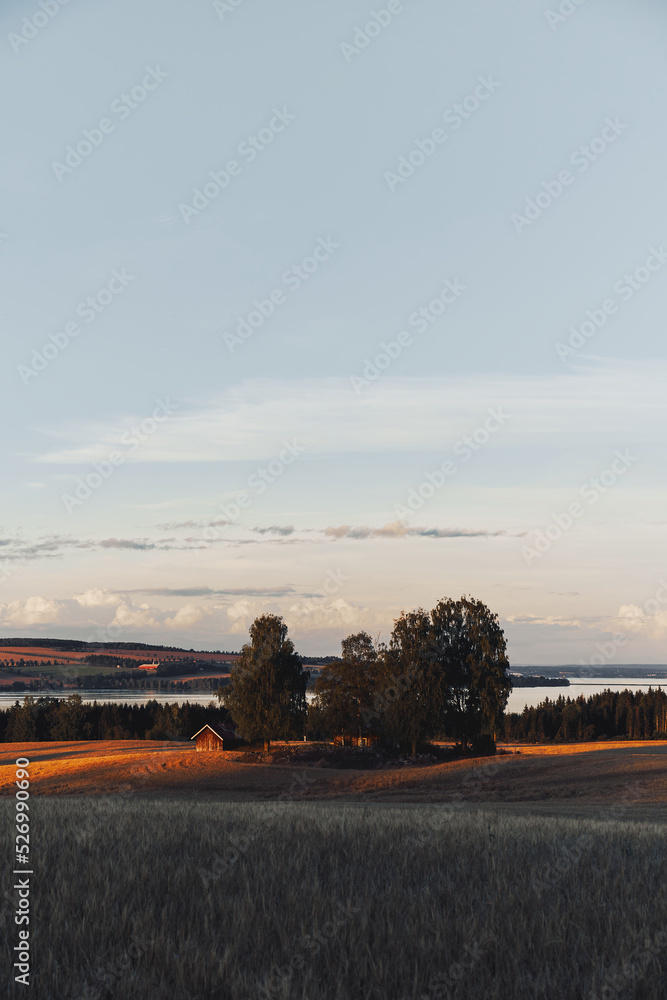 Fototapeta premium Abandoned homestead in a field by Lake Mjøsa of late summer.