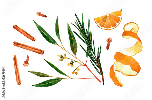 Slika na platnu Watercolor essential oil plants blend illustration