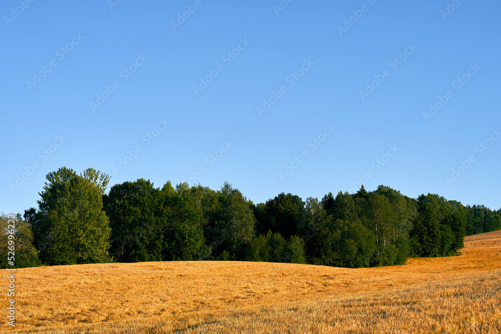 Obraz premium Image from the cultural landscape by Riselva Valley, Toten, Norway, a summer evening in August.