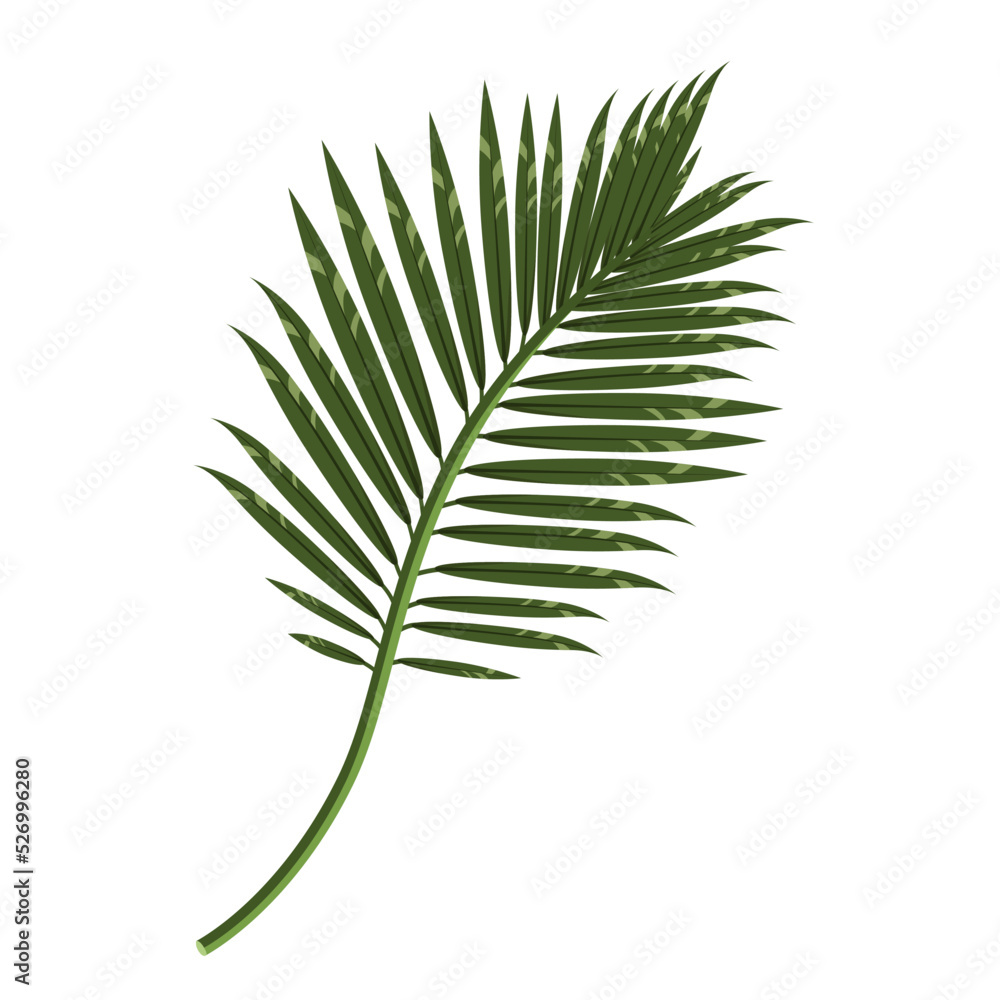 Colorful palm branch isolated on a white background.Vector illustration of a tropical branch can be used in textiles, postcards, summer designs. Colorful palm branch isolated on a white background.Vector illustration of a tropical branch can be used in textiles, postcards, summer designs.