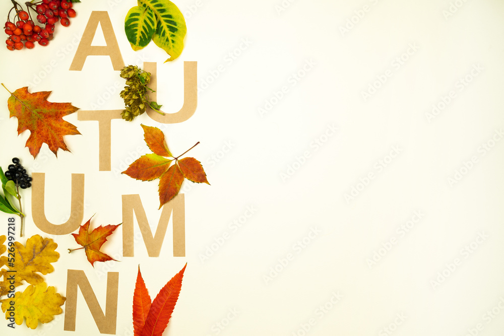 Beautiful autumn composition with green, red, yellow and orange dried colorful leaves on white background. Layout thematic frame card with autumn mood. Design template for logo, invitation, greetings.