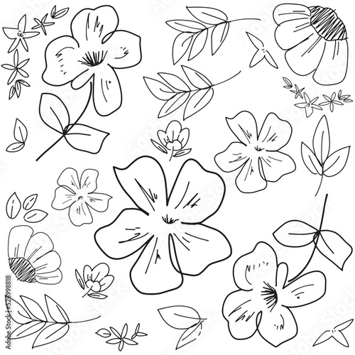 seamless floral pattern