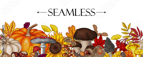 Seamless horizontal vector autumn pattern. Maple leaf, chestnut, rowan, fallen leaves, acorns, physalis, maple seeds, sunflower, pumpkin, ginkgo, fly agaric, chanterelles, porcini mushroom, mushrooms