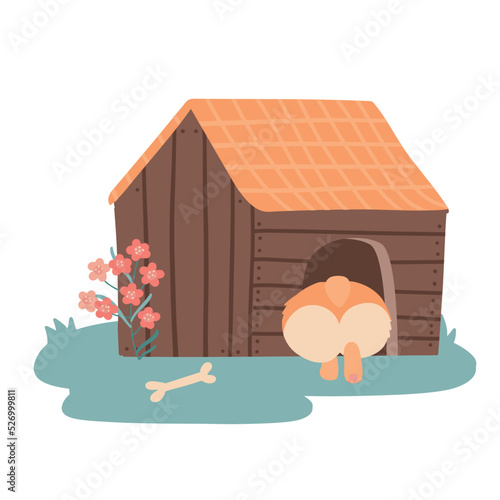 Cute cartoon corgi sitting in the doghouse with his back outside. Booty of a dog in the form of a heart in wooden kennel. Vector flat hand drawn illustration