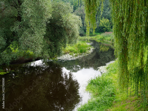picturesque place by a small river with green trees above the water
