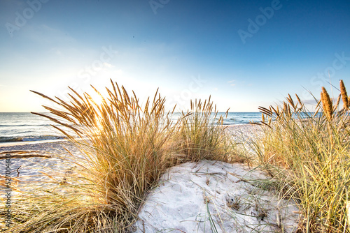 Fototapeta Naklejka Na Ścianę i Meble -  traumstrand