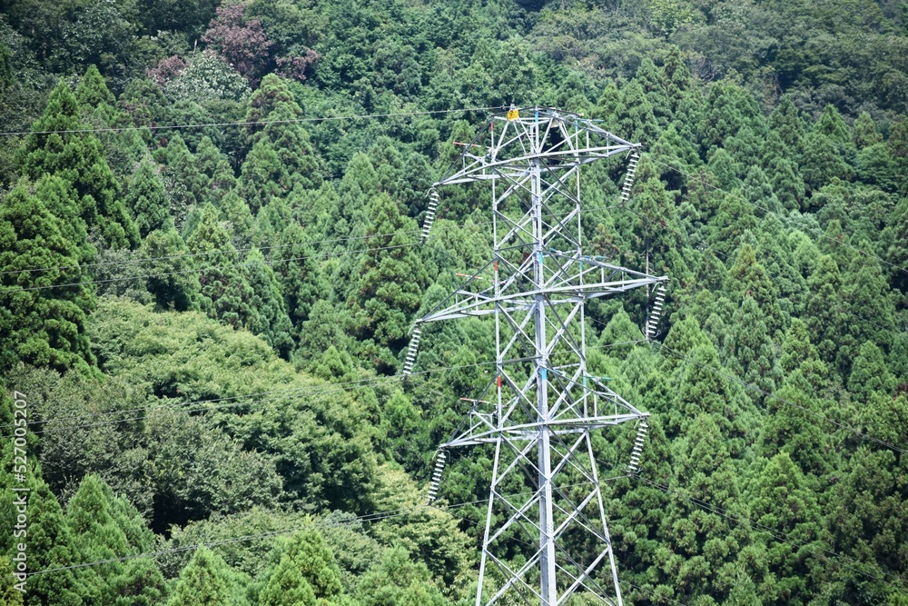 Obraz premium 高圧電線、鉄塔、看板、森林、水田