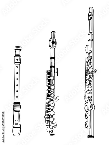 Vector set of three different flutes in black