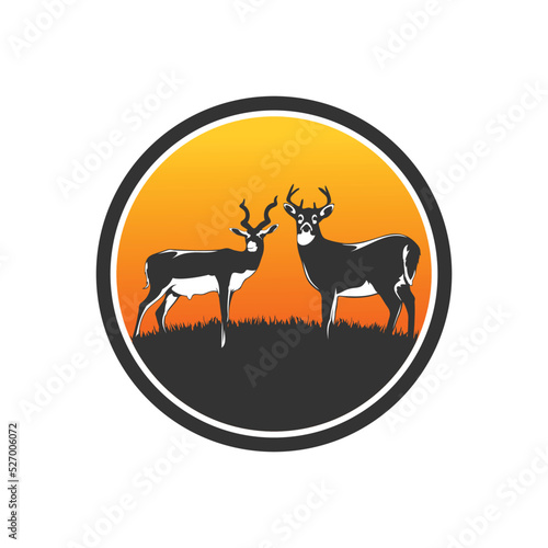 illustration of a deer deer vector deer logo design 