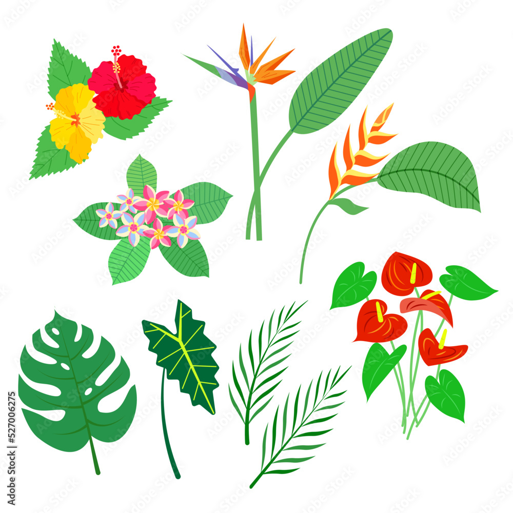 Set of tropical plants. Vector isolated colorful illustration.