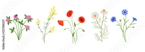Wallpaper Mural Set of meadow flowers. Vector color isolated illustration.	 Torontodigital.ca