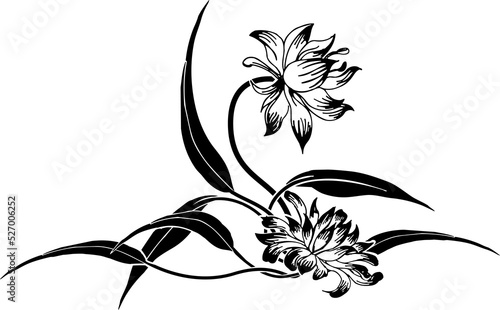 floral background