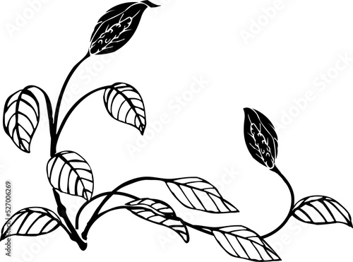 floral background