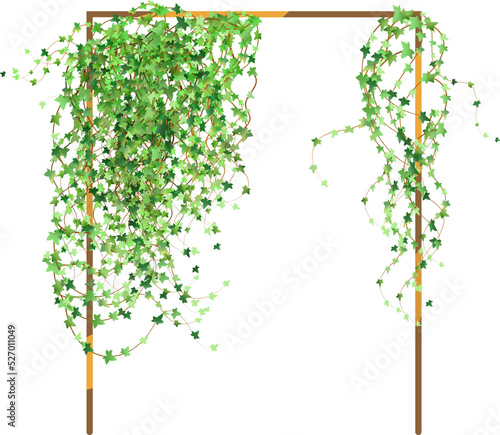 Green vine, creeper or ivy hanging from above or climbing the wall.Decorative column for garden or home.Template on white background.