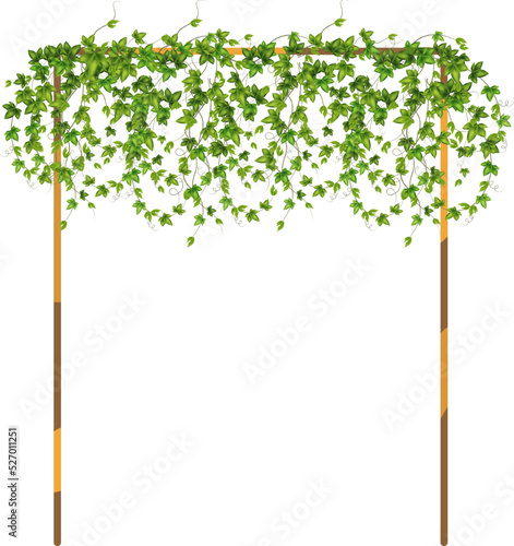 Green vine, creeper or ivy hanging from above or climbing the wall.Decorative column for garden or home.Template on white background.