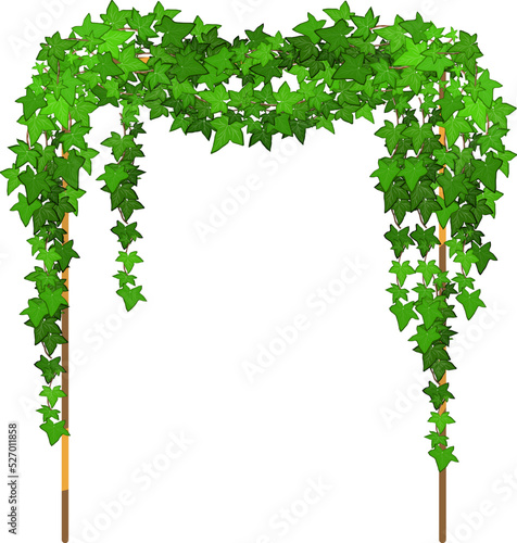 Green vine, creeper or ivy hanging from above or climbing the wall.Decorative column for garden or home.Template on white background.