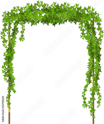 Green vine, creeper or ivy hanging from above or climbing the wall.Decorative column for garden or home.Template on white background.