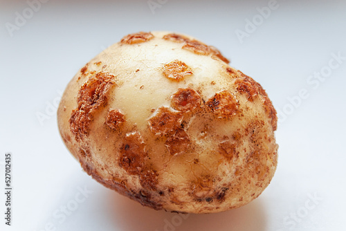 Potato with common scab photo