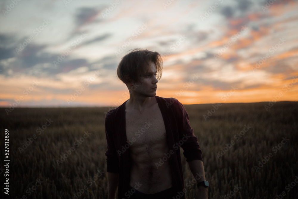 silhouette of a sexy muscular man at sunset in a field, a long-haired handsome man with a naked torso in nature. The concept of a romantic single man. silhouette of a sexy muscular man at sunset in a field, a long-haired handsome man with a naked torso in nature. The concept of a romantic single man.