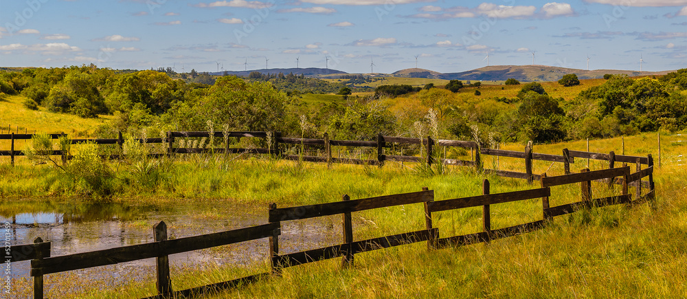 Meadow landscape scene Meadow landscape scene