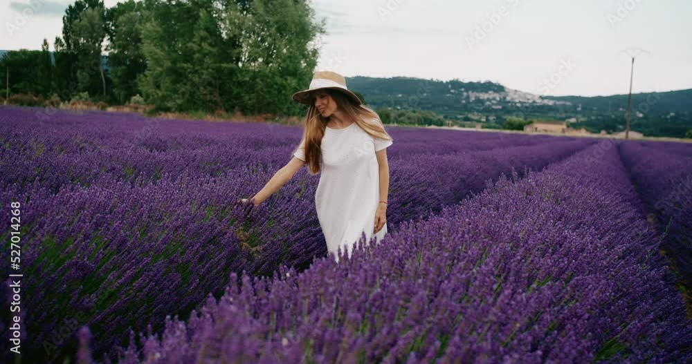 Beautiful blonde female wearing white dress and hat walking lavender field. Young woman enjoying of blossom lavender in Provence. High quality 4k footage Beautiful blonde female wearing white dress and hat walking lavender field. Young woman enjoying of blossom lavender in Provence. High quality 4k footage