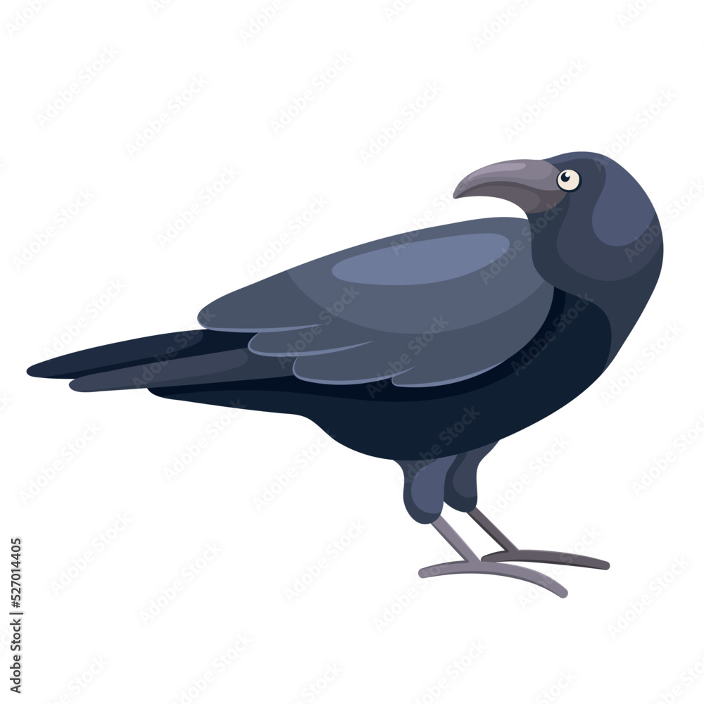 Fototapeta: Cartoon black crow in flat style. Old sitting raven for a  spooky festive Halloween design. Cute... #527014405 '