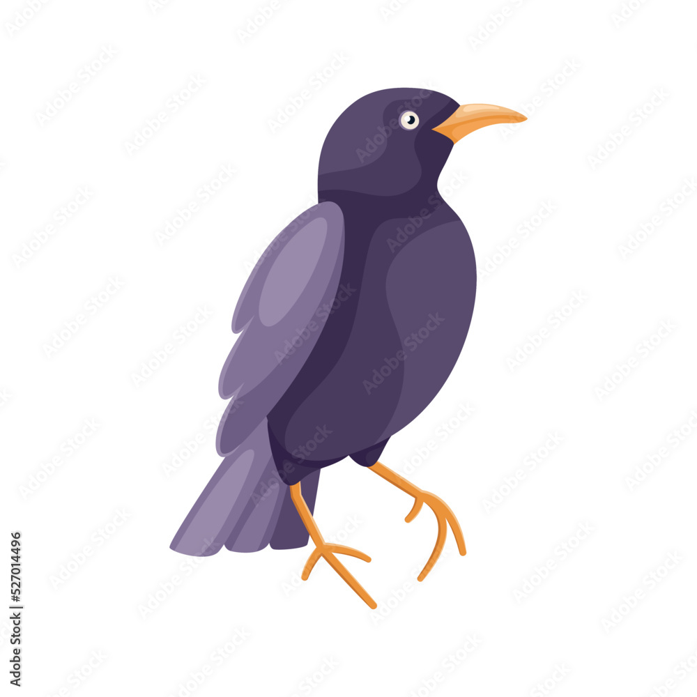 Fototapeta premium Cartoon standing thrush in flat style. Cute colorful city bird. Isolated element for design. Picture for educational children's book and ornithological encyclopedia. Common European bird. Simple icon.