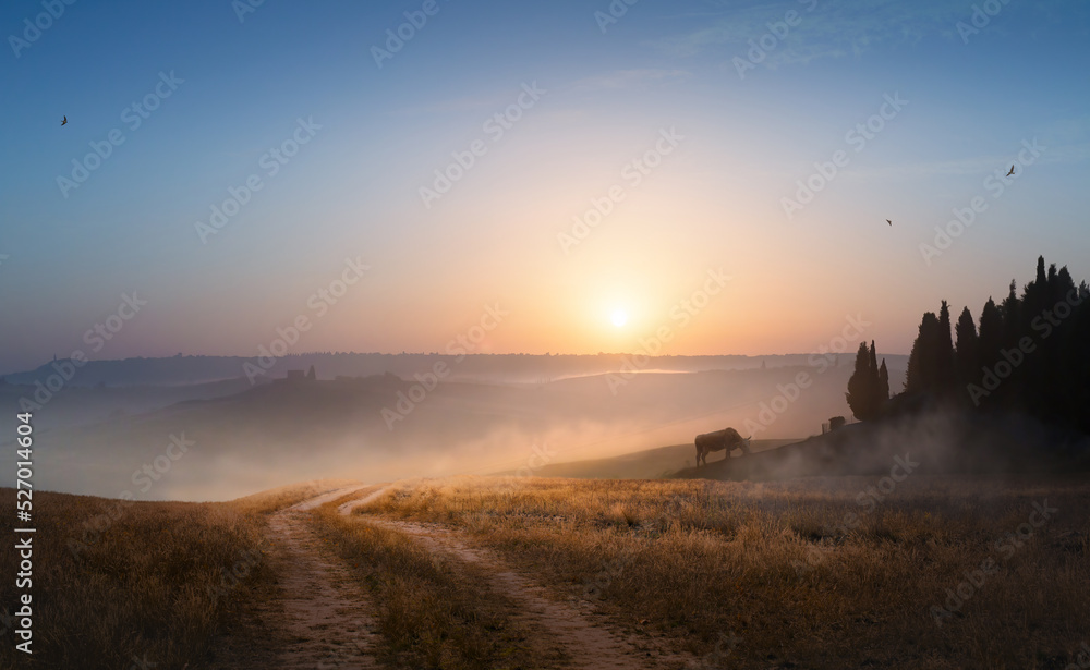 Beautiful countryside panorama early foggy morning in italian tuscany. Autumn rural landscape