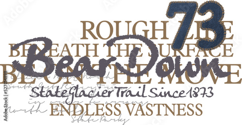 Alaska ranger men's t-shirt print art