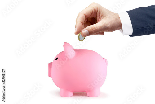 Piggy bank for saving money wealth and financial concept