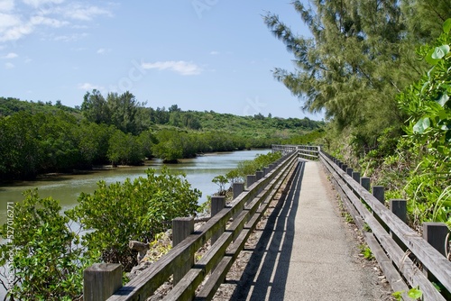 Scenery of boardwalk and Shimajiri mangrove forest