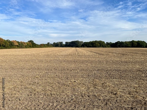 Abgeerntetes Getreidefeld im Spätsommer