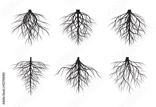 A set of black Tree Roots. Vector outline Illustration. Plant and Garden. 