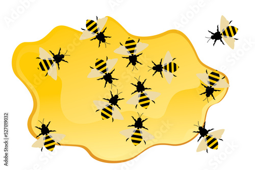 Set bees eat melted honey. Honey bee