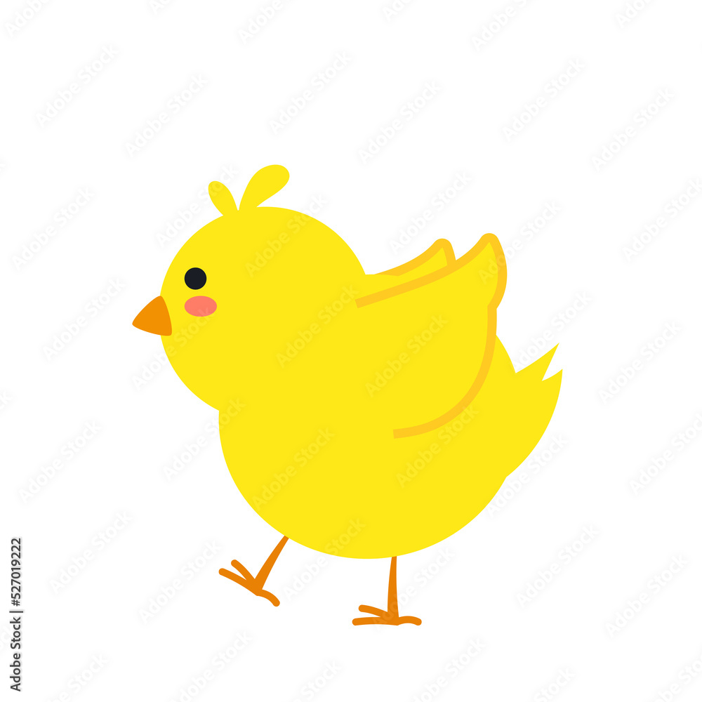 small baby bird emergence from egg, cracked shell in laying hens nest,Chicken hatching stages. Newborn little cute chick,Easter chicks concept. small baby bird emergence from egg, cracked shell in laying hens nest,Chicken hatching stages. Newborn little cute chick,Easter chicks concept.