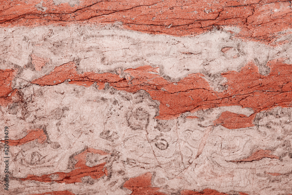 Obraz premium Texture of red marble