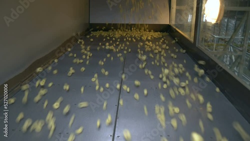 Plant for the production of rings and flakes using extrusion. Production of dry breakfast at the factory.