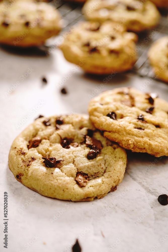 Homemade chewy chocolate chip cookies, selective focus