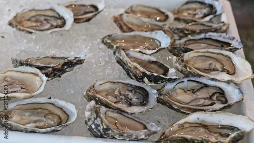 Wallpaper Mural Fresh opened protein rich oyster on crushed ice at seafood restaurant or market. Selective focus. Healthy gourmet food with minerals. Natural aphrodisiacs Torontodigital.ca