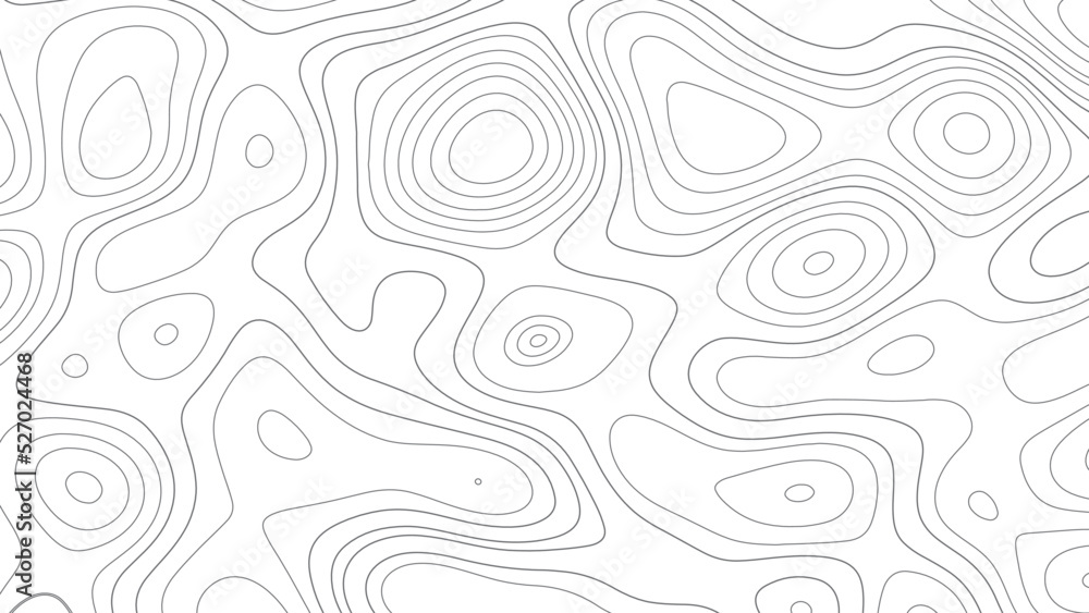 Background of the topographic map. Topographic map lines, contour background. Geographic abstract grid. cs6 vector illustration.