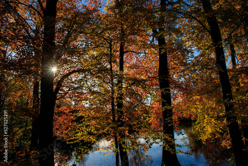 Autumn leaves reflecting in lake