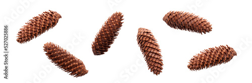 A collection of large, long open pinecones for Christmas tree decoration isolated against a flat background.