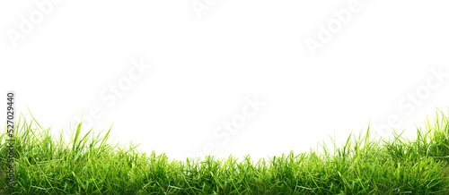 Fotografia Fresh green grass isolated against a transparent background