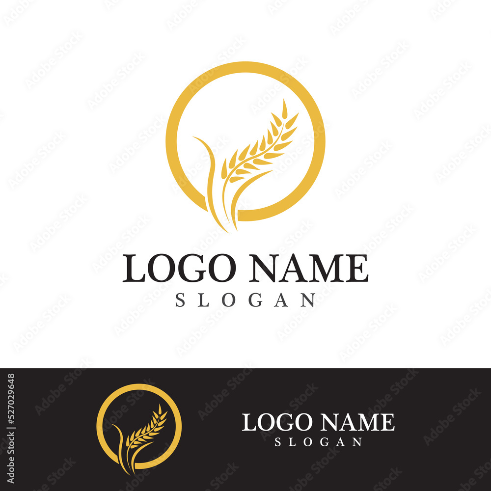Agriculture wheat vector Agriculture wheat vector