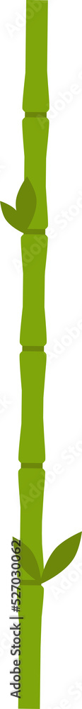 bamboo design illustration isolated on transparent background bamboo design illustration isolated on transparent background