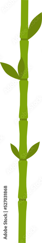 bamboo vector design illustration isolated on transparent background bamboo vector design illustration isolated on transparent background