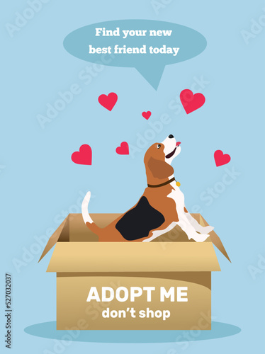 Adopt a Friend. Do not buy a pet.  Animal care, adoption concept. Help the homeless animals find a home. Help homeless animals find home concept. Lonely puppy waiting for an owner. 