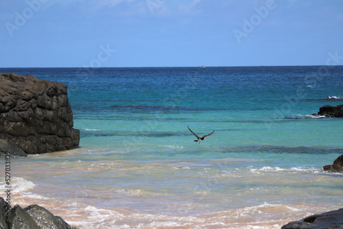 Views on the trail between Boldro beach and Conceicao beach photo